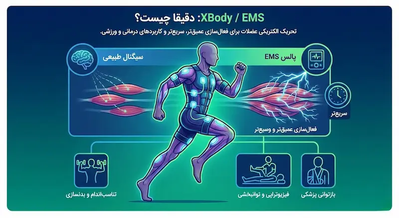 ایکس بادی یا EMS دقیقا چیست؟