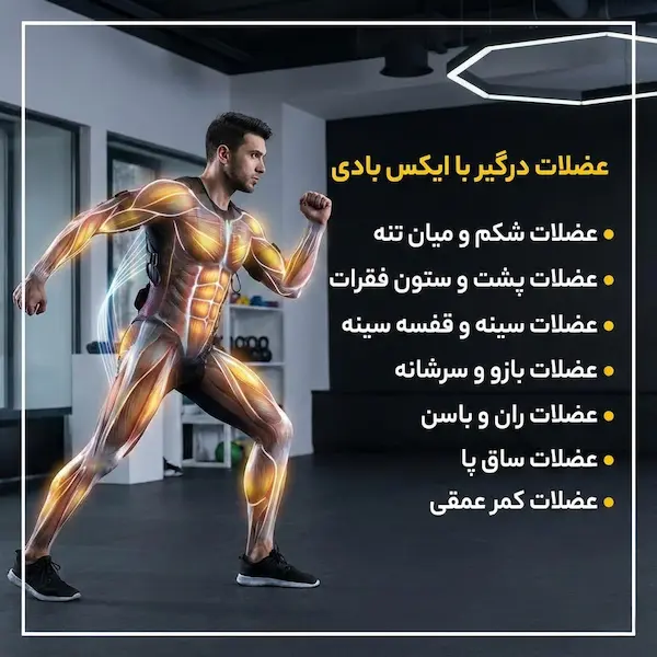 دستگاه ایکس بادی چه عضلاتی از بدن را درگیر می کند؟