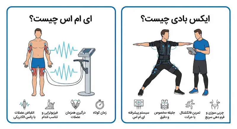 ای ام اس و ایکس بادی چیست؟
